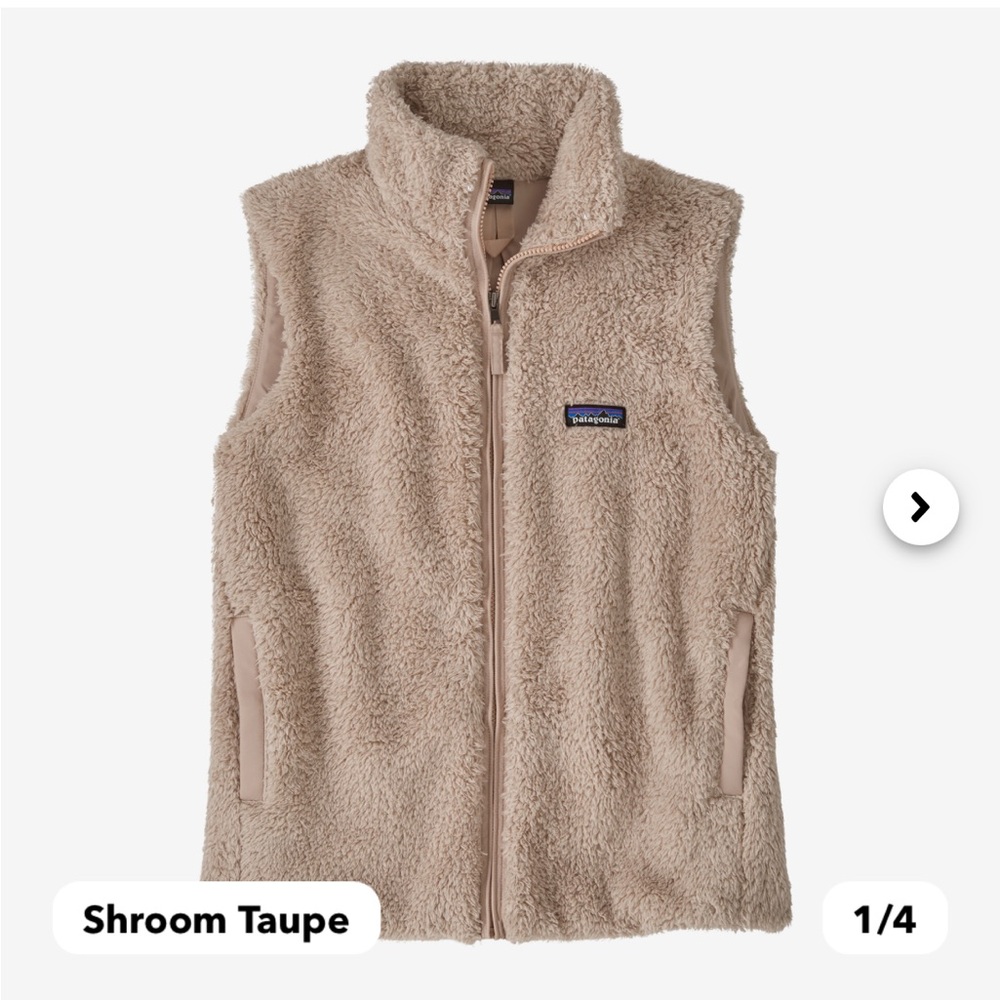 Patagonia Los Gatos vest